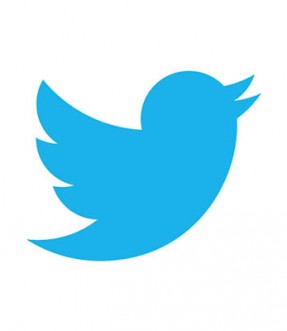 twitter-logo-blanco